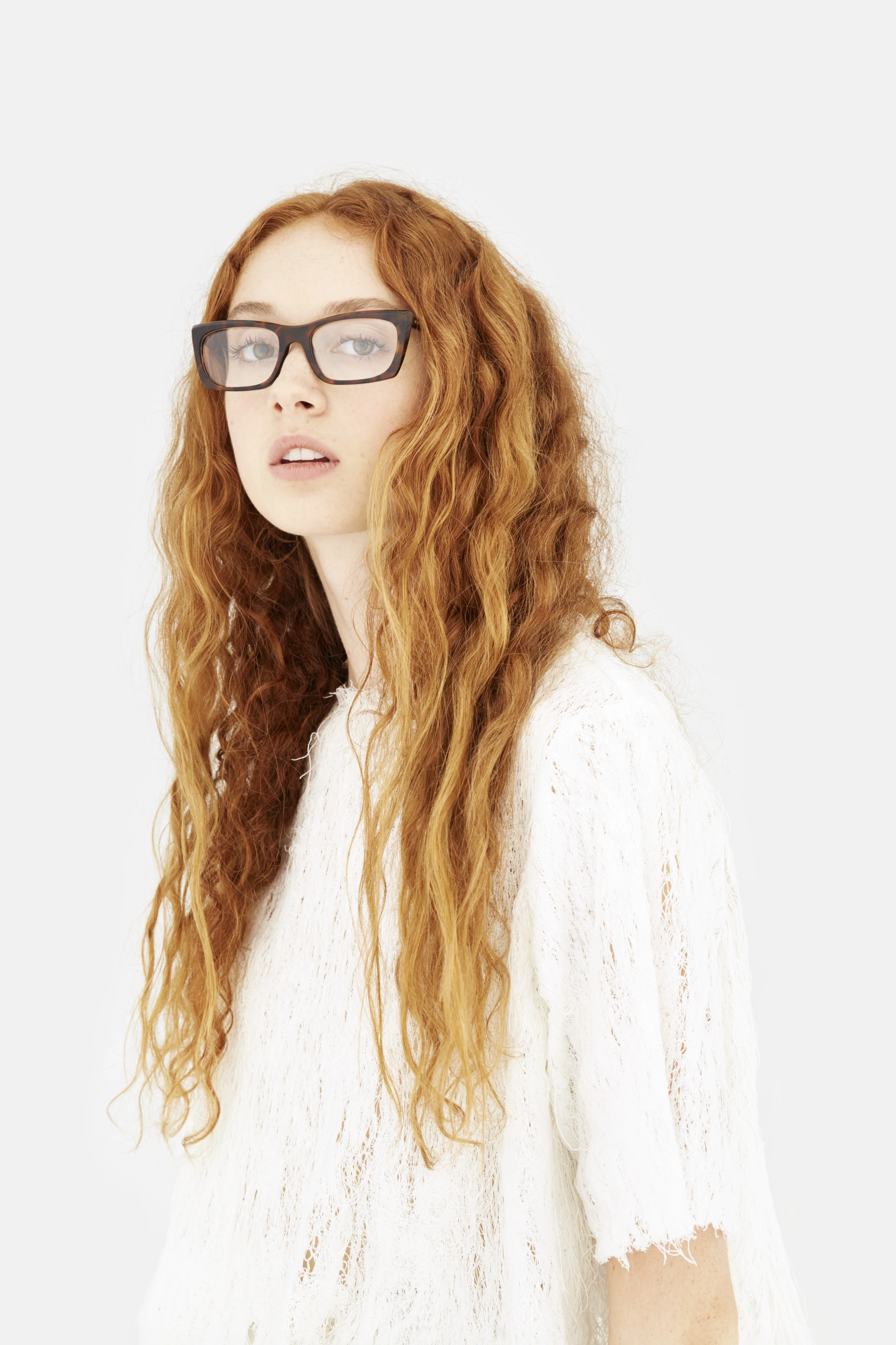 Fred Optical Classic Havana - Image 4